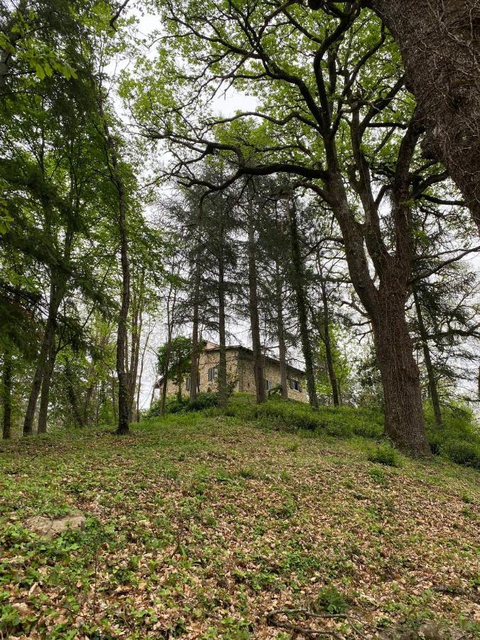 Naturemugello Oasi Naturista Dicomano Екстериор снимка